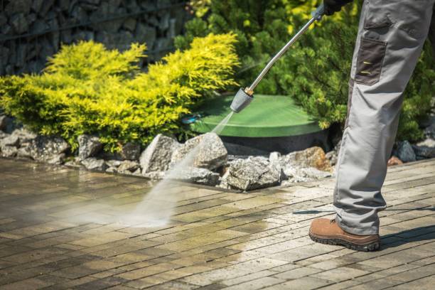 Reliable Daleville, AL  Pressure Washing Services Solutions