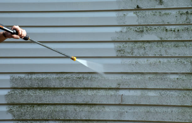 Best Spring Cleaning  in Deville, AL